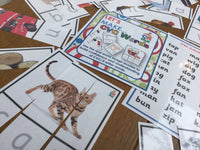 
              Let's Make CVC Words
            
