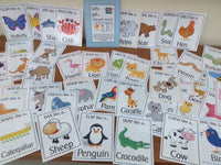 
              Get Active with Animals
            