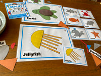 
              2D Shape - Sealife
            