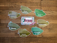 
              NEW! 7 Areas of Learning
            