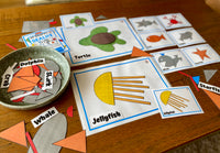 
              NEW - 2D Shape Pack - BUNDLE
            