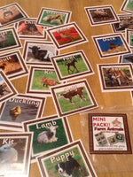 
              Farm Animals & Their Young - Mini Pack
            