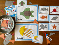 
              NEW - 2D Shape Pack - BUNDLE
            