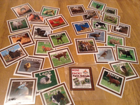
              Farm Animals & Their Young - Mini Pack
            