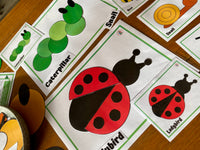 
              NEW - 2D Shape Pack - BUNDLE
            