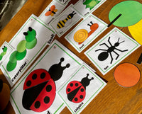 
              NEW - 2D Shape Pack - BUNDLE
            