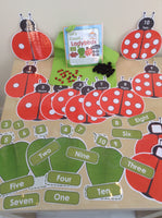 
              Spring - Ladybird Counting
            